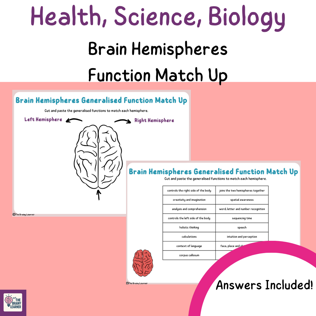 Brain Hemisphere Matchup