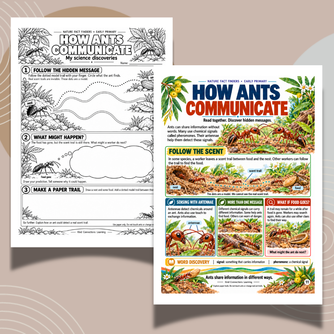Nature Fact Finder Reading Responses: An Ant's Busy Day