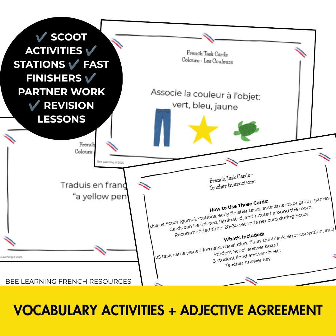 French Colours Vocabulary Activities | Task Cards & Adjective Agreement