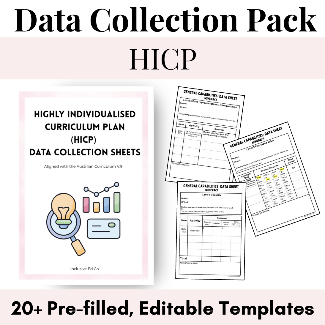 Editable HICP Data Tracking System | ICP Data Collection Sheets