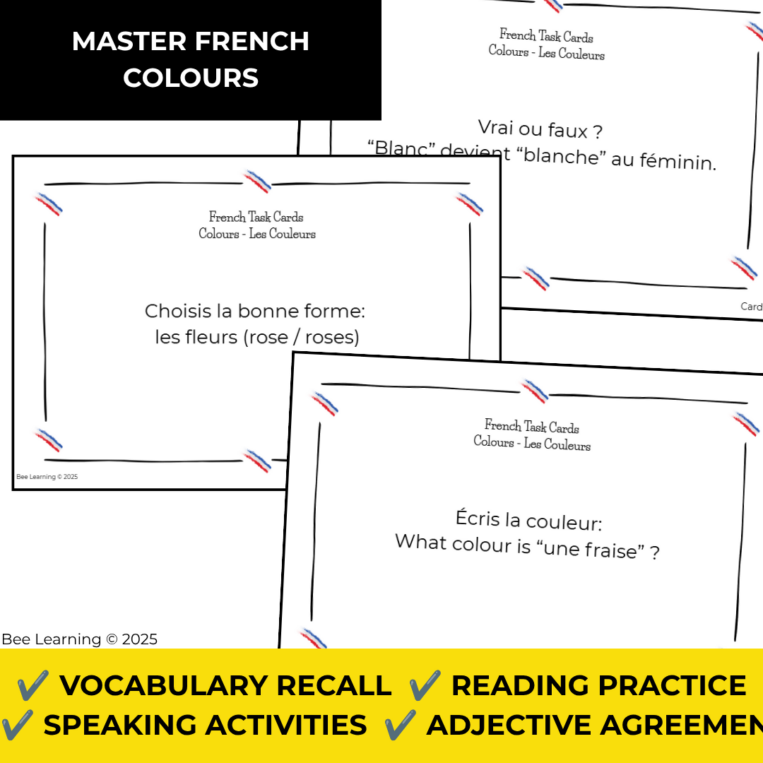 French Colours Vocabulary Activities | Task Cards & Adjective Agreement