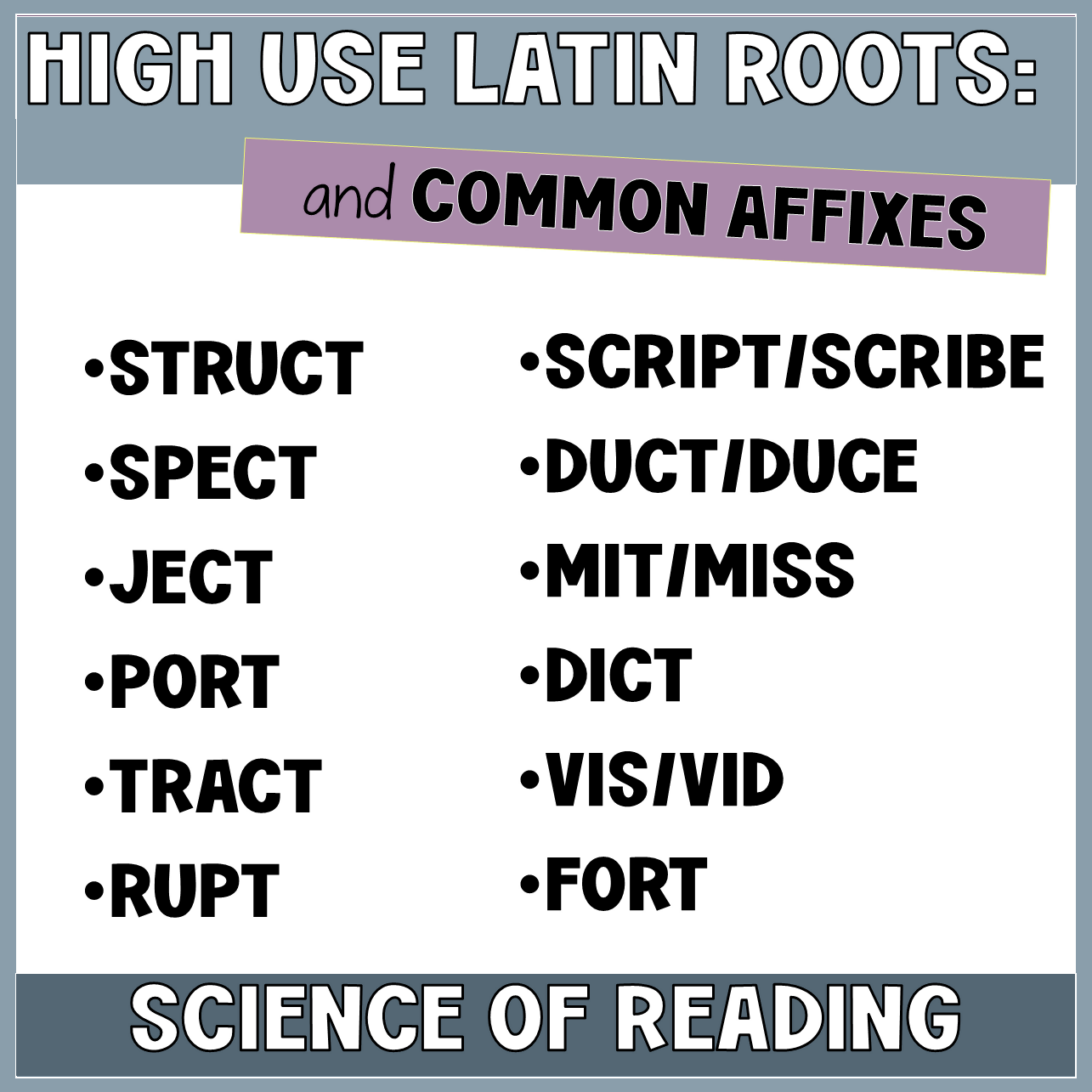 MORPHOLOGY ACTIVITY | LATIN ROOT | YEAR 4 - 6