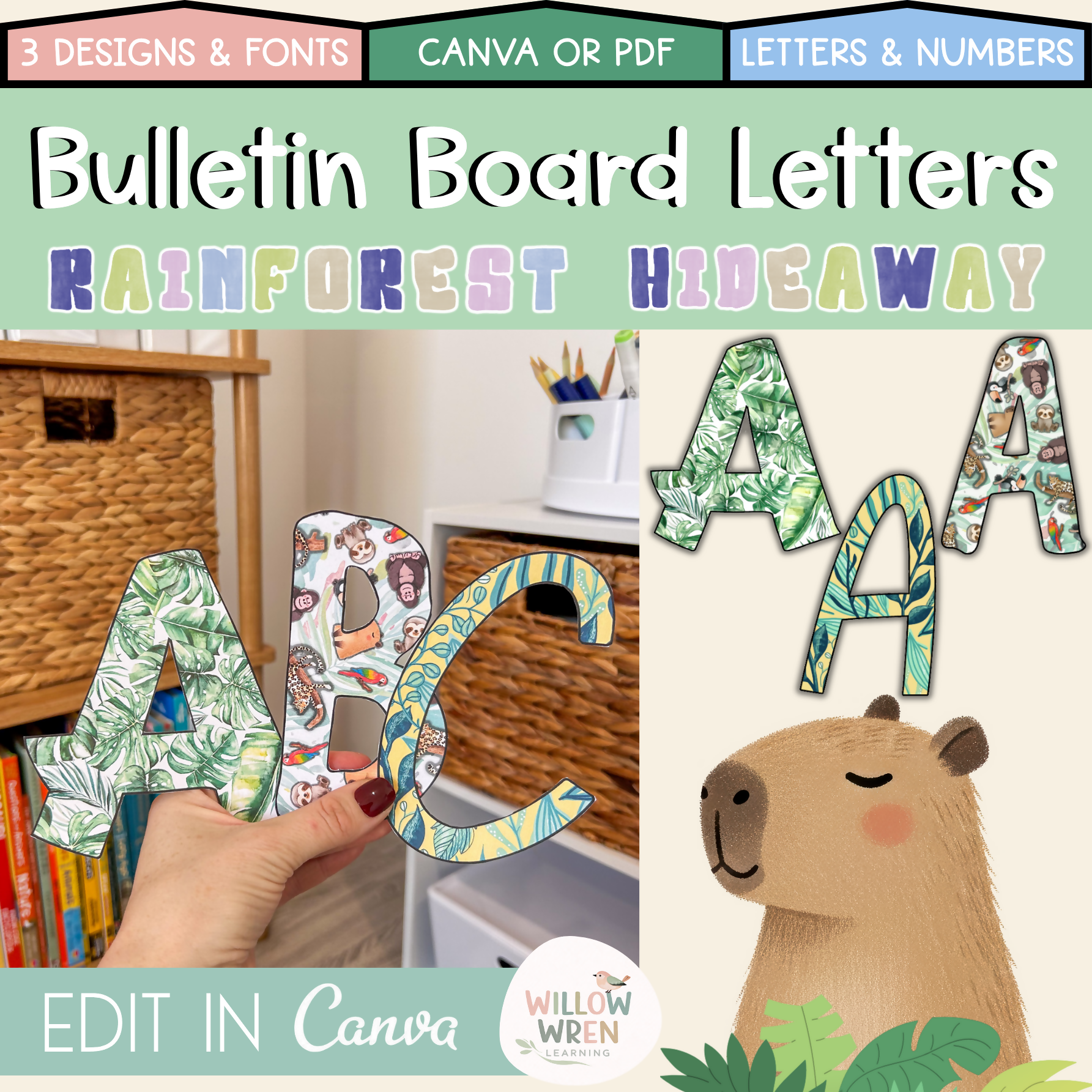 Rainforest Hideaway Bulletin Board Letters | Editable Lettering Pack Decor Leaf