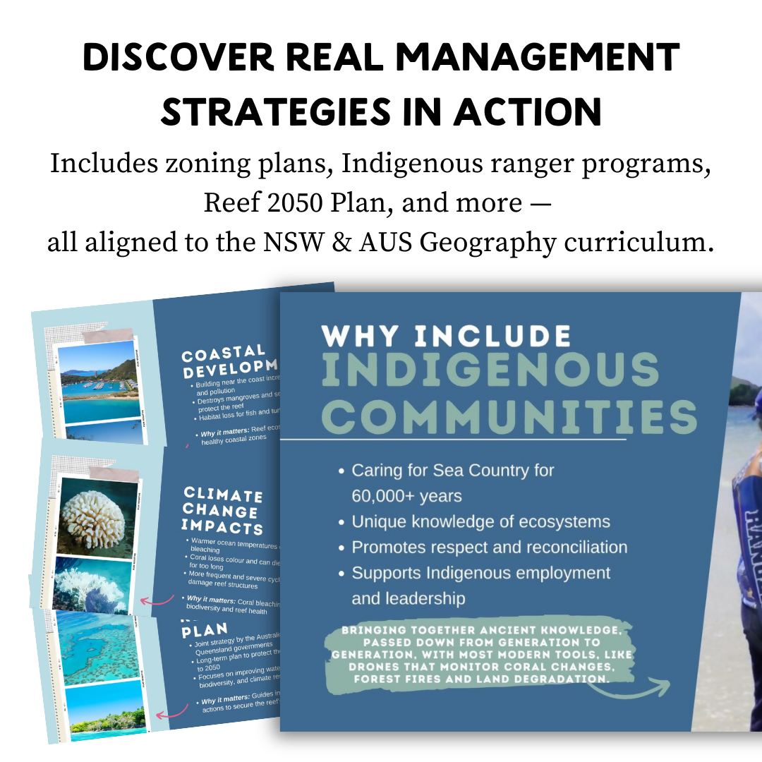 Great Barrier Reef Cast Study | Year 7 Geography