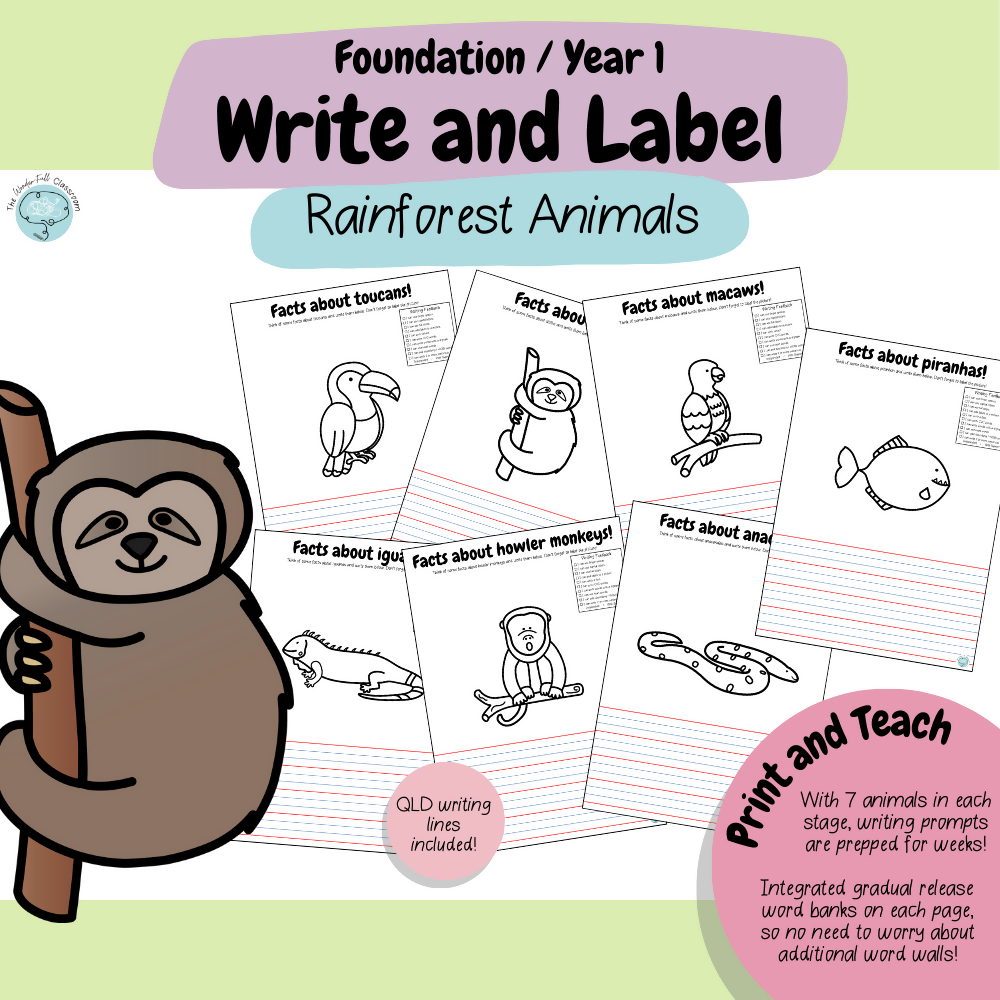 Foundation & Year 1 V9 Differentiated Information Writing - Rainforest Animals