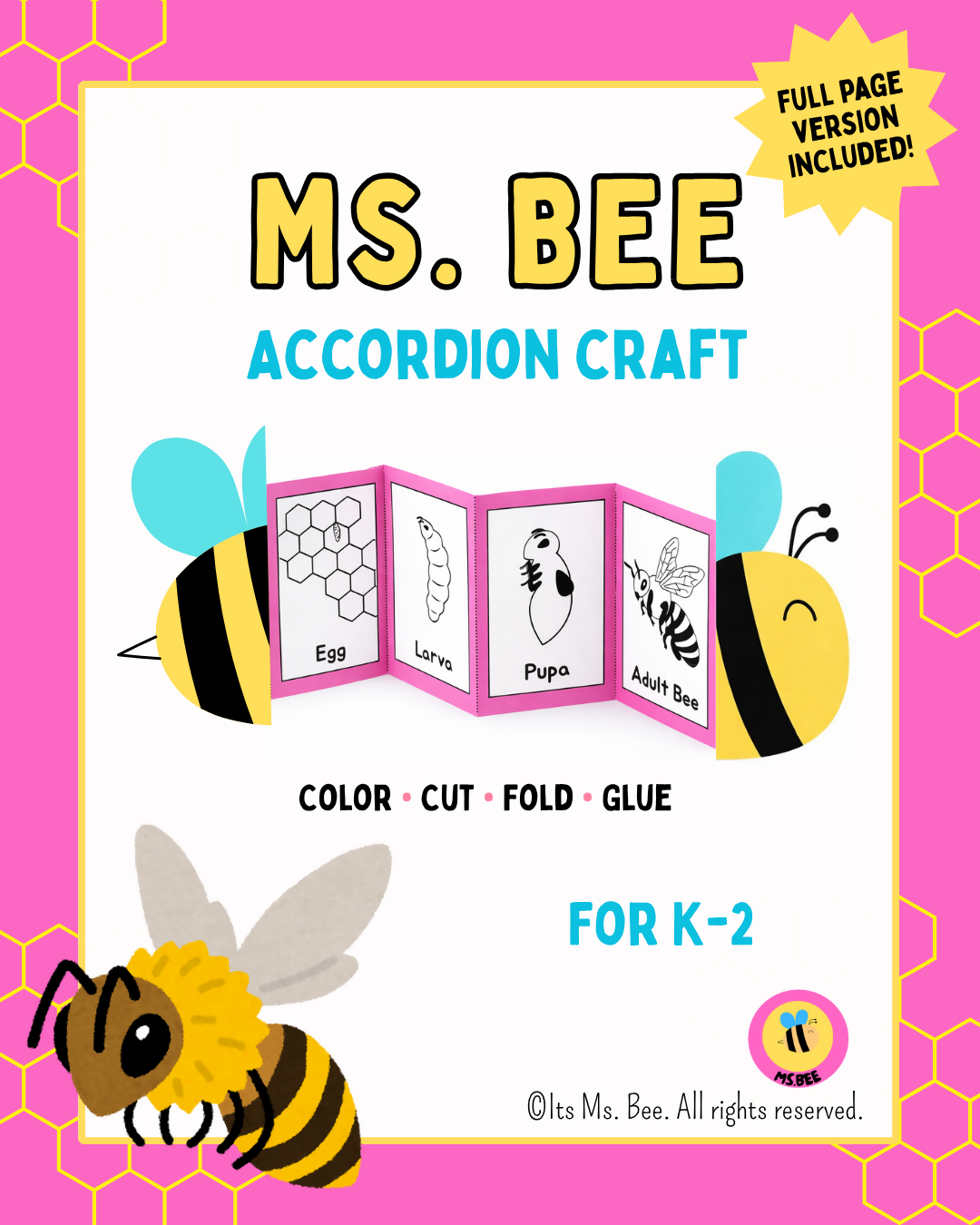 Life Cycle Of A Bee | Accordion Craft