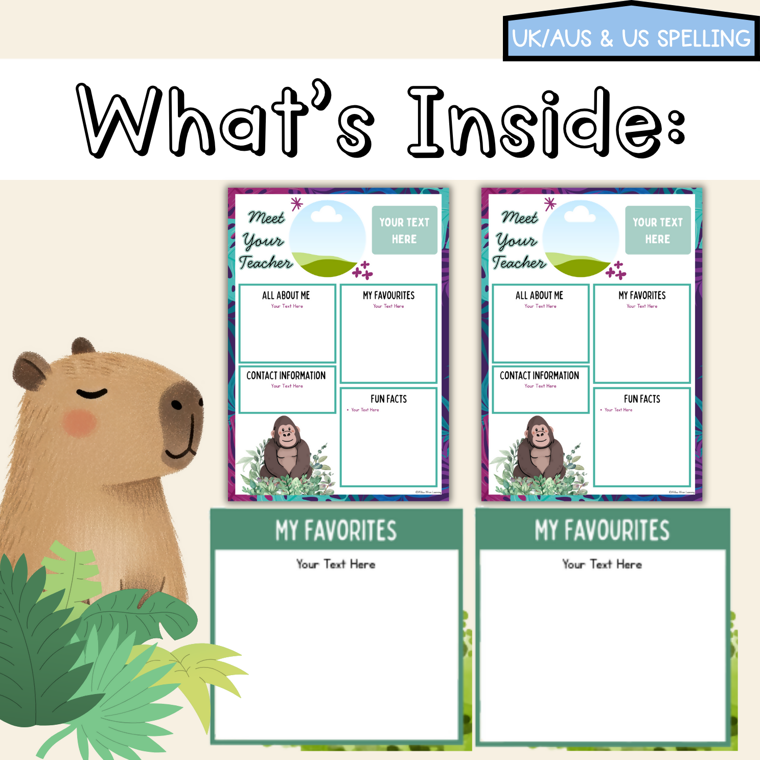Rainforest Hideaway Meet the Teacher | Editable Back to School Classroom Decor