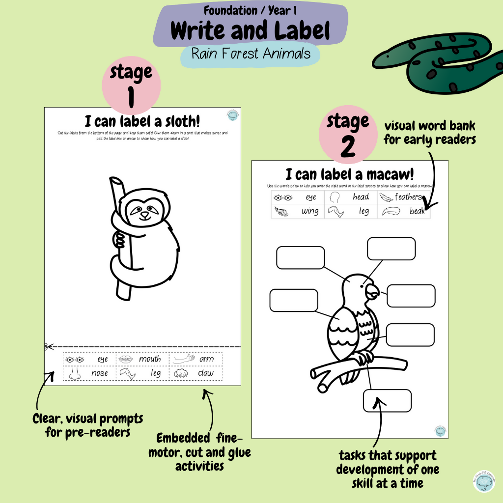 Foundation & Year 1 V9 Differentiated Information Writing - Rainforest Animals