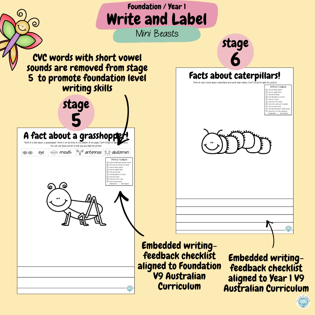 Foundation & Year 1 V9 - Differentiated Information Writing - Mini Beasts
