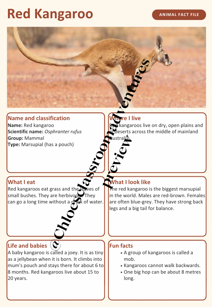 Australian Animal Fact Files | 20 Native Australian Animals | Year 1–2 | Editable | Printable