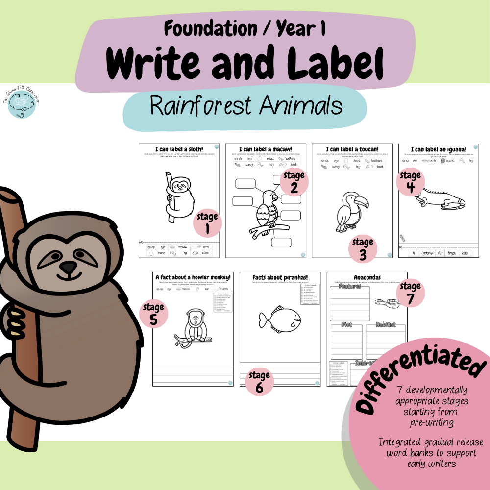 Foundation & Year 1 V9 Differentiated Information Writing - Rainforest Animals