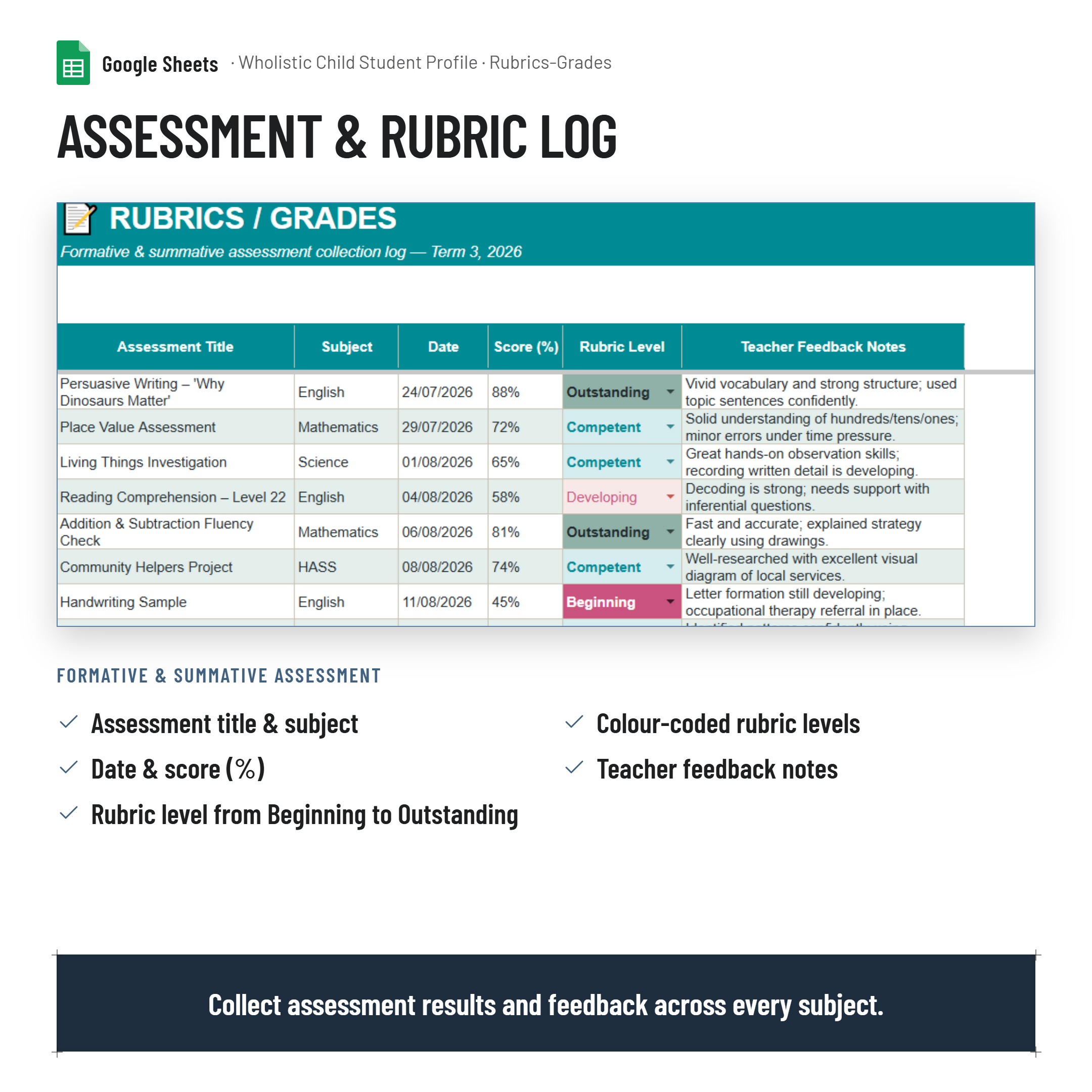 Wholistic Child Student Profile Tracker & Summary Dashboard|NCCD| PLP evidence|Google Sheets