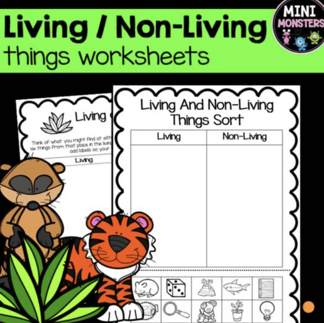 Living and Non-Living Things | Year One Science Worksheets | Australian Curriculum Aligned