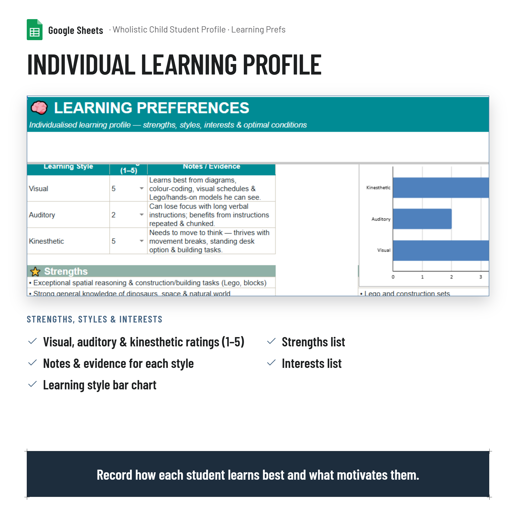 Wholistic Child Student Profile Tracker & Summary Dashboard|NCCD| PLP evidence|Google Sheets
