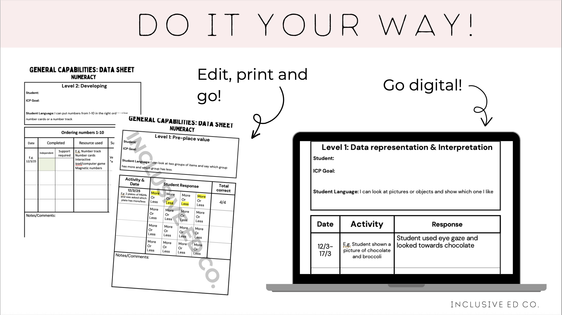 Editable HICP Data Tracking System | ICP Data Collection Sheets