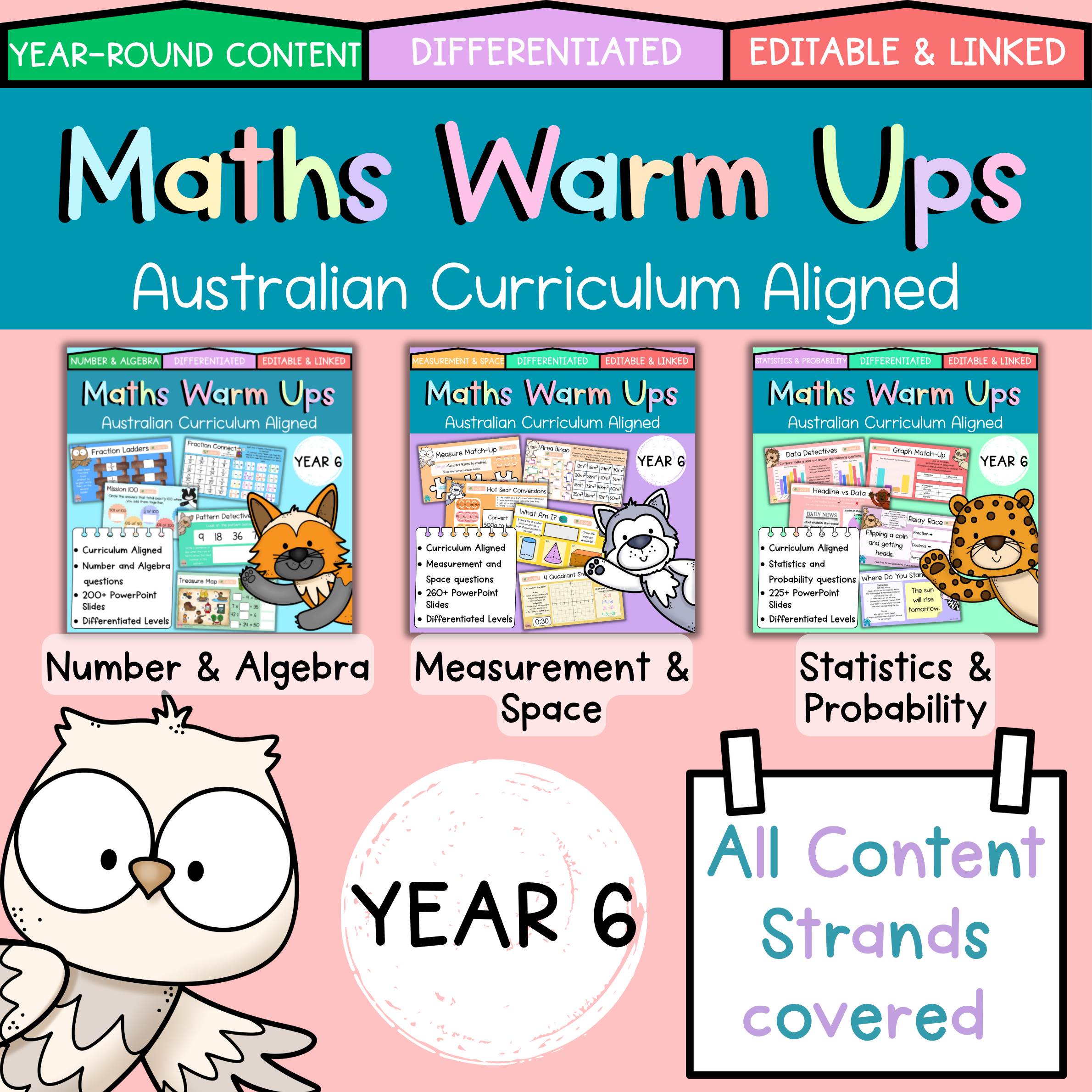 Year 6 Maths Warm Ups I All Content Strands I Australian V9