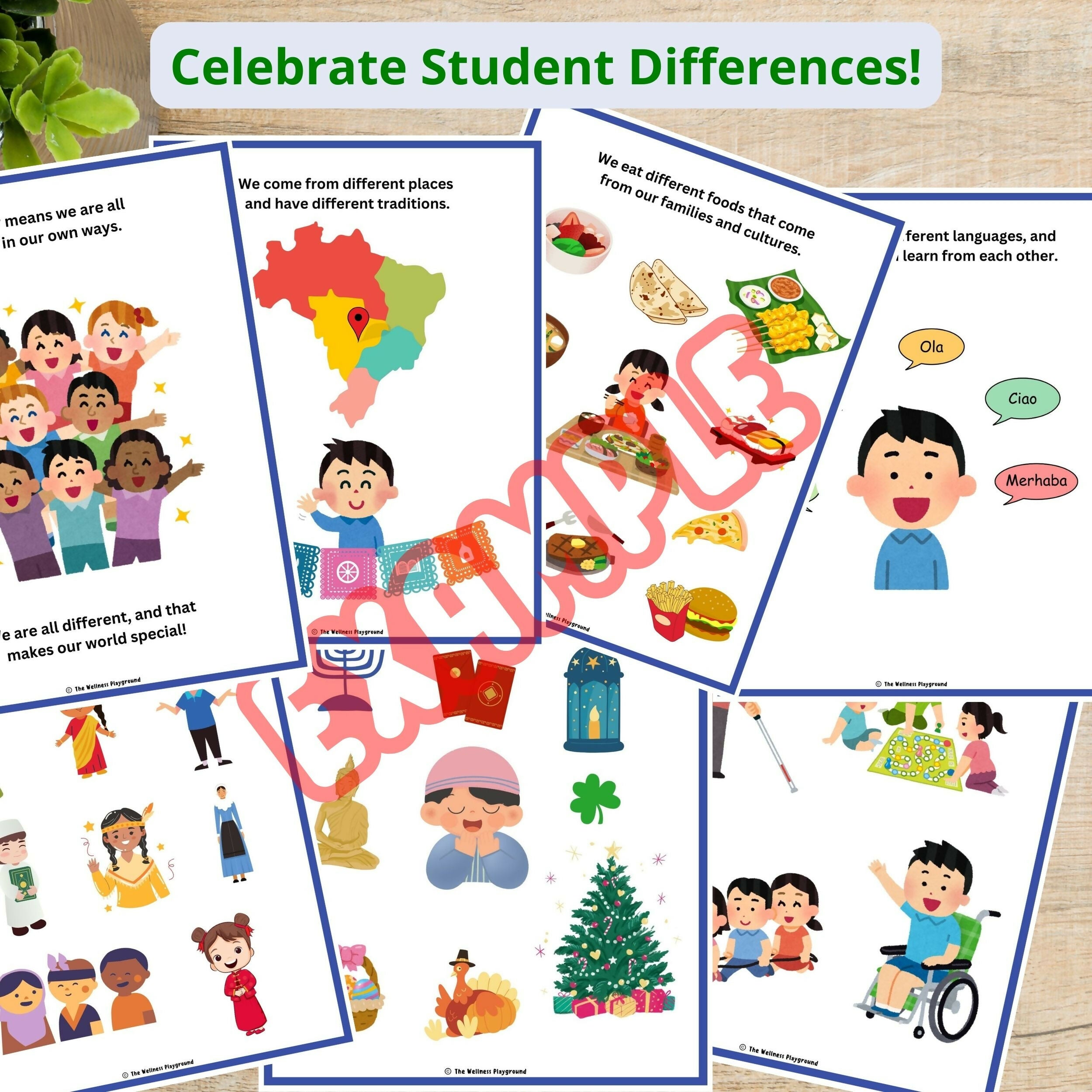 Celebrating Diversity Social Story | Neurodiversity Lesson for Elementary