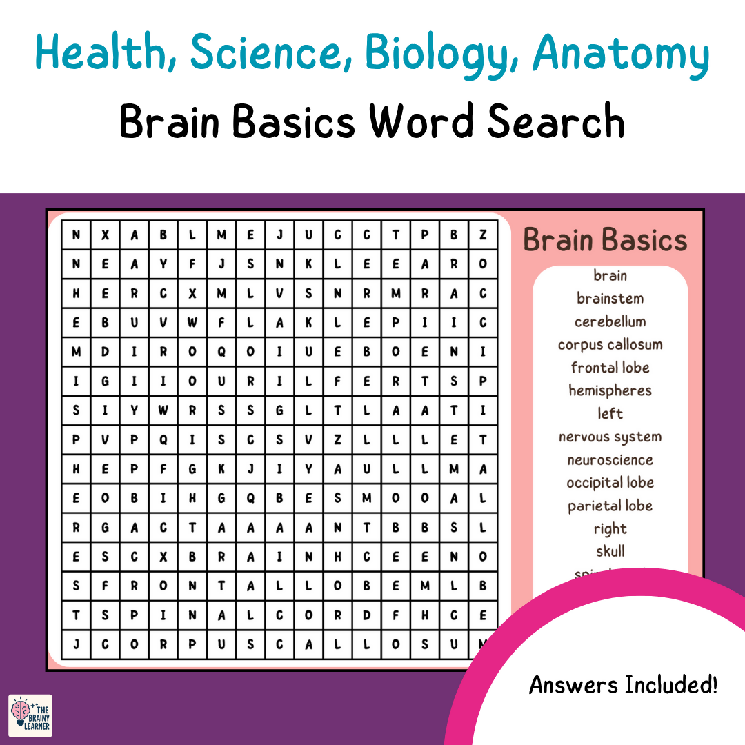 Brain Anatomy Wordsearch