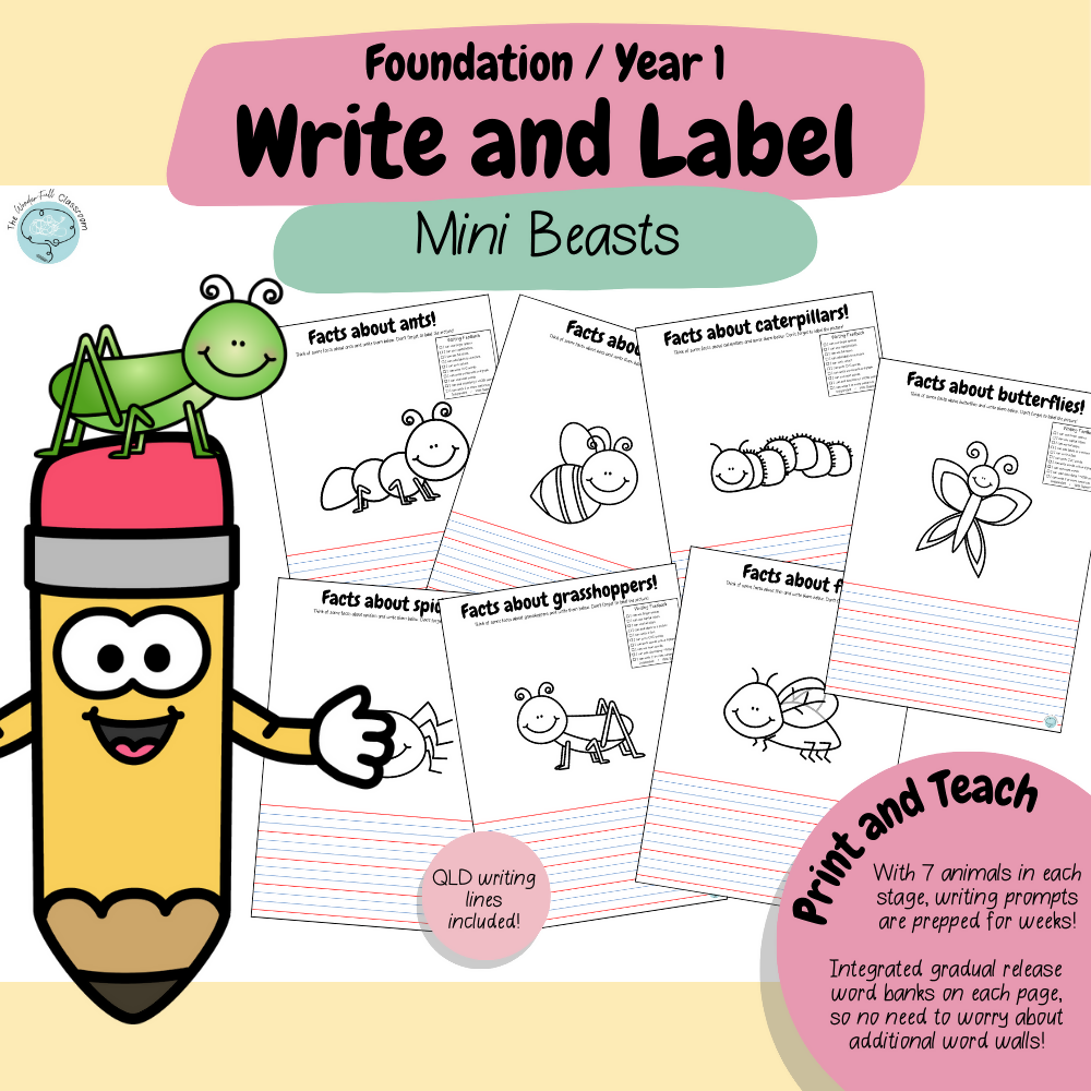 Foundation & Year 1 V9 - Differentiated Information Writing - Mini Beasts