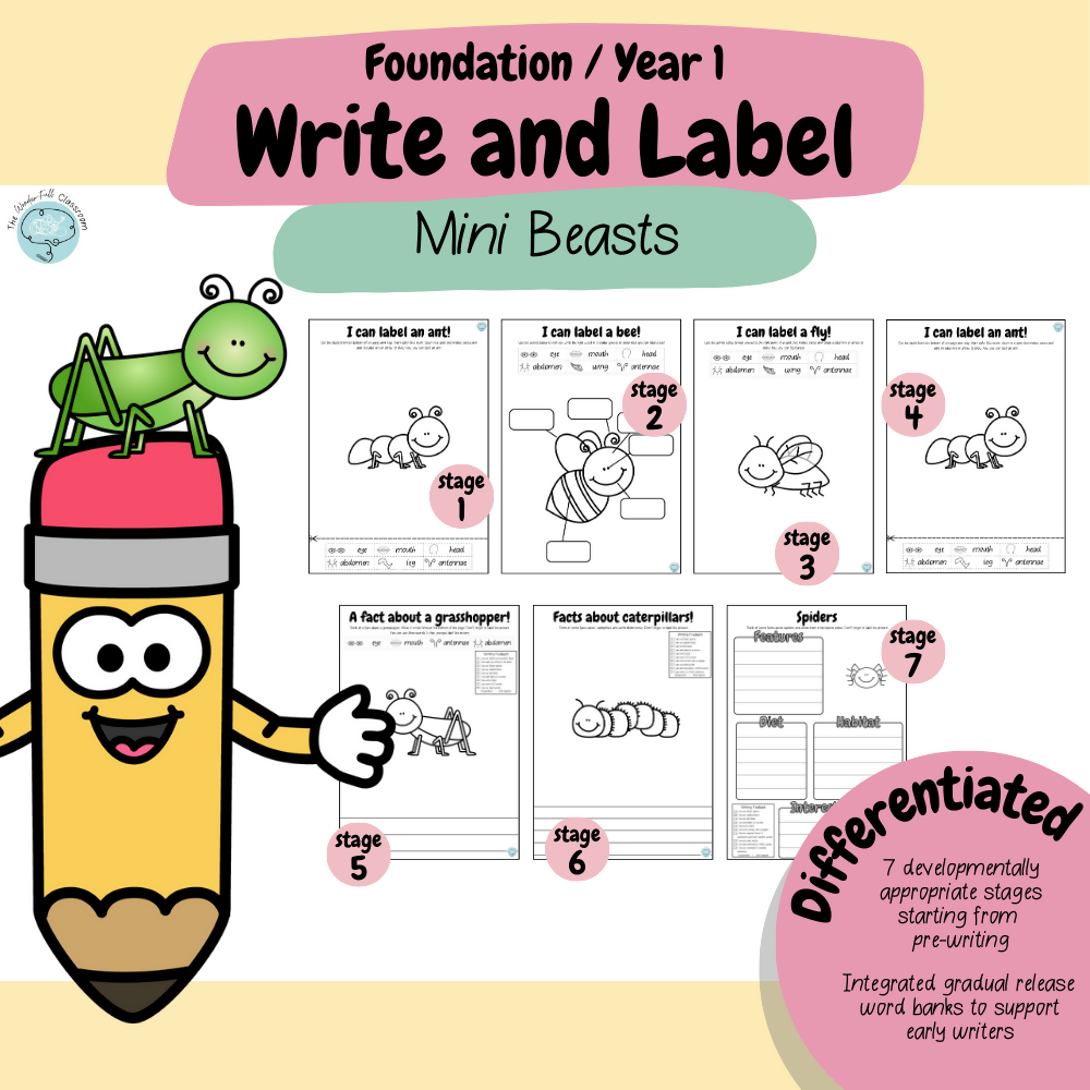 Foundation & Year 1 V9 - Differentiated Information Writing - Mini Beasts