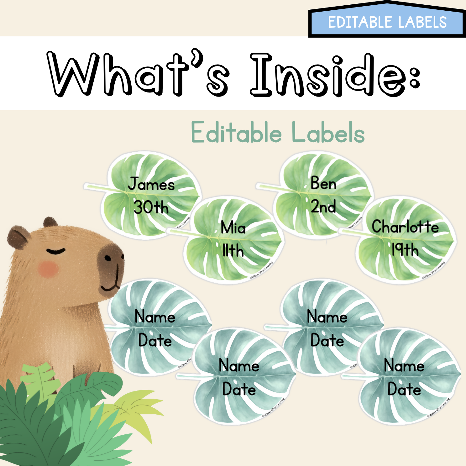 Rainforest Hideaway Meet the Teacher | Editable Back to School Classroom Decor