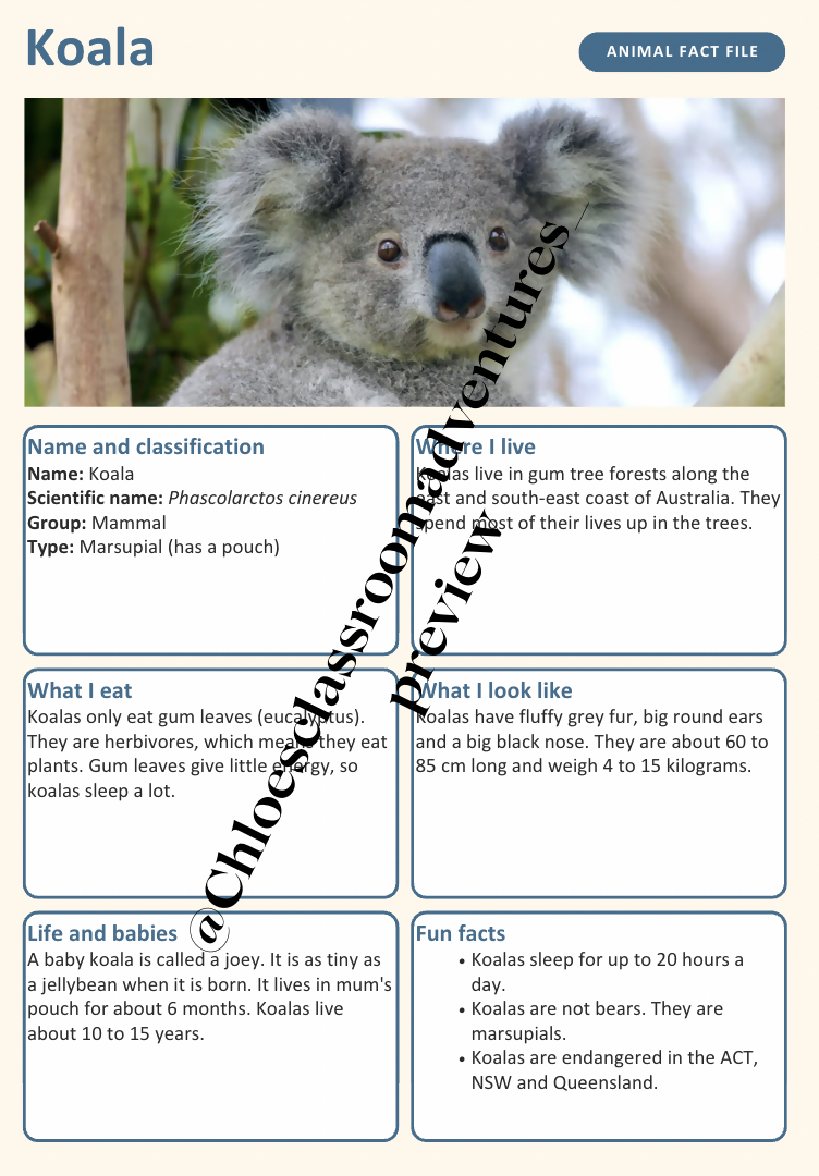 Australian Animal Fact Files | 20 Native Australian Animals | Year 1–2 | Editable | Printable
