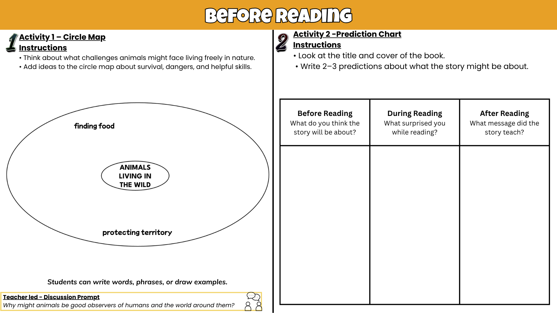 The Eyes and the Impossible Novel Study Unit | Comprehension Questions, Vocabulary & Activities | Grades 3–6