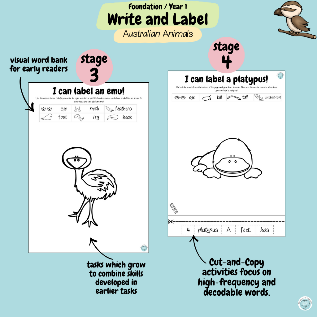 Foundation & Year 1 V9 Differentiated Information Writing - Australian Animals