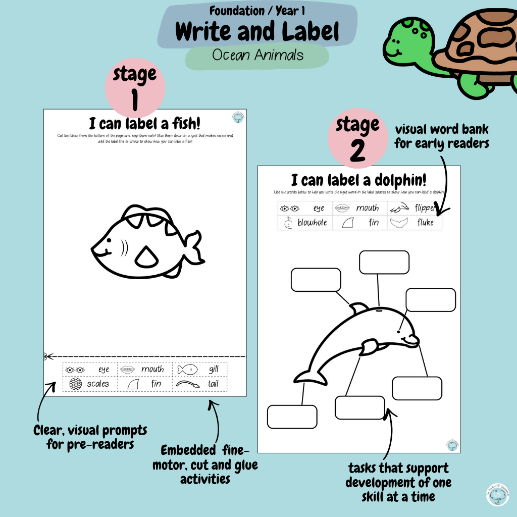 Foundation & Year 1 V9 Differentiated Information Writing - Ocean Animals