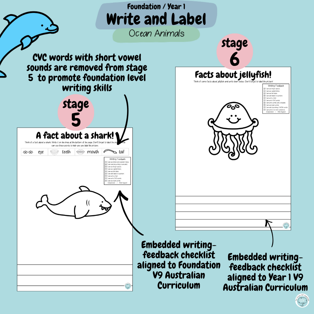 Foundation & Year 1 V9 Differentiated Information Writing - Ocean Animals