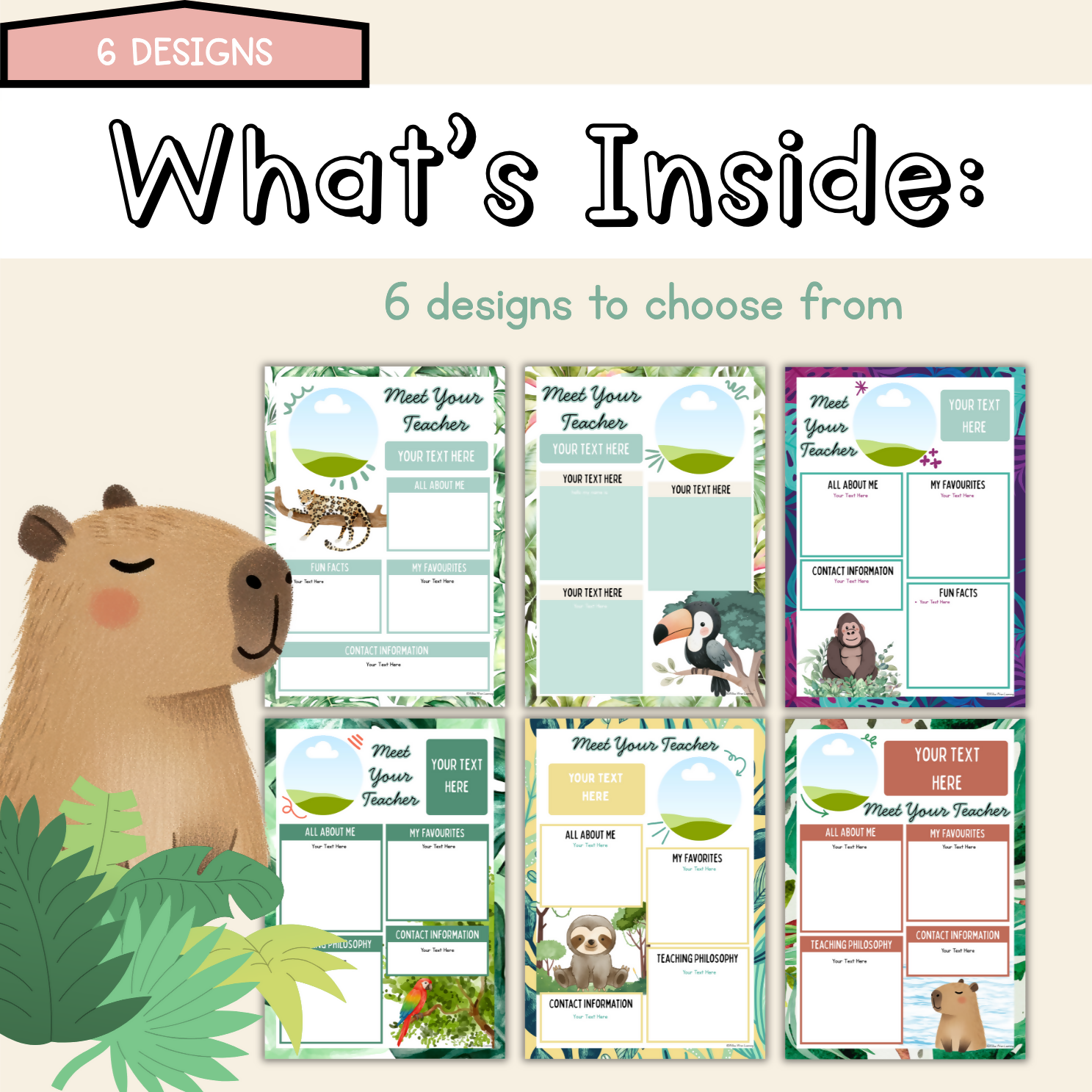 Rainforest Hideaway Meet the Teacher | Editable Back to School Classroom Decor