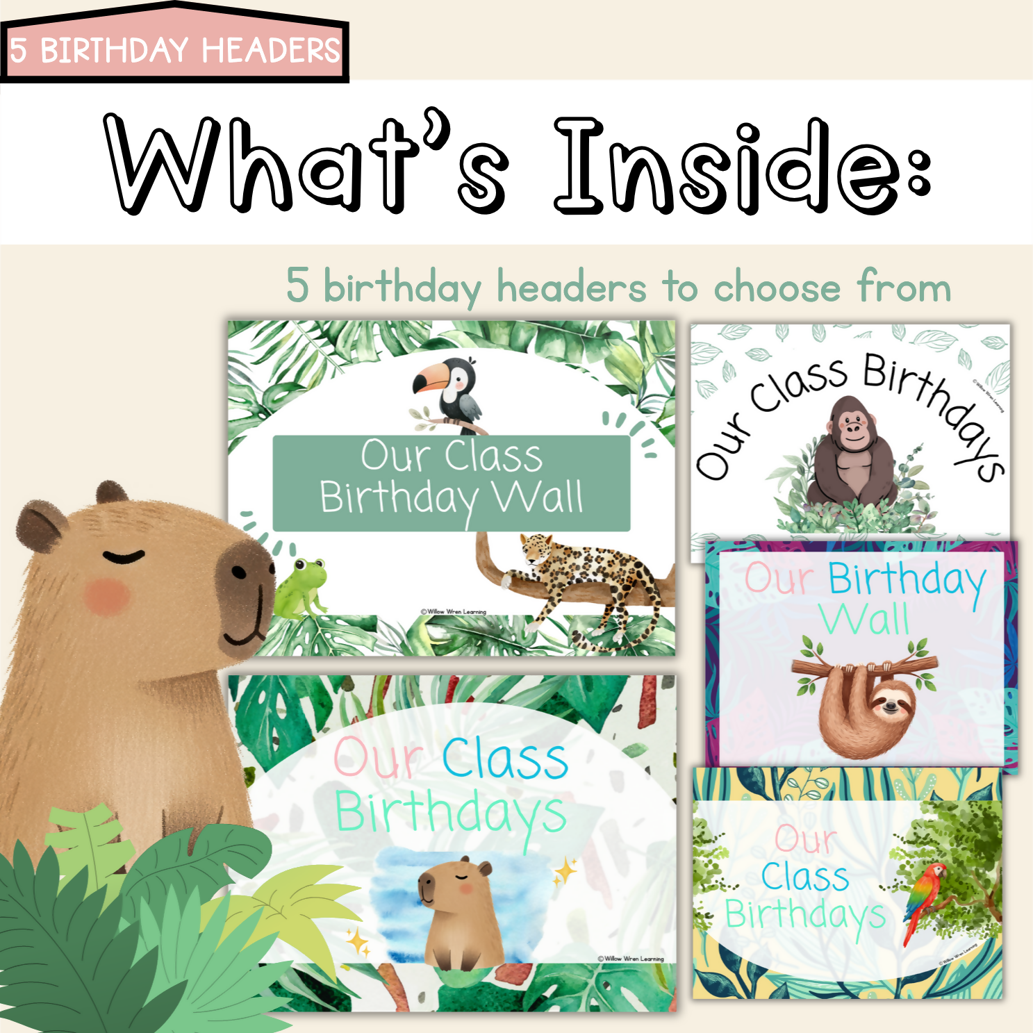 Rainforest Hideaway Meet the Teacher | Editable Back to School Classroom Decor