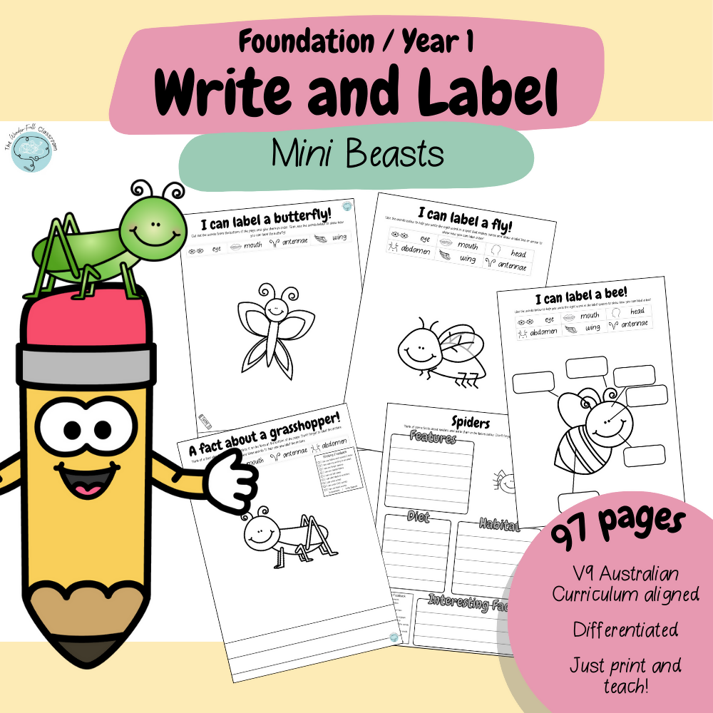 Foundation & Year 1 V9 - Differentiated Information Writing - Mini Beasts