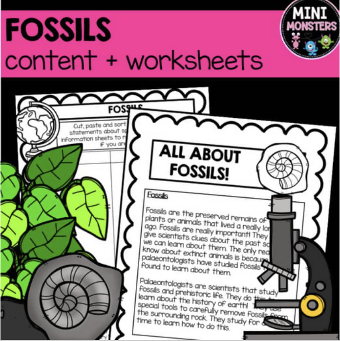 Fossils and Earth Science Worksheets | Year Three and Four
