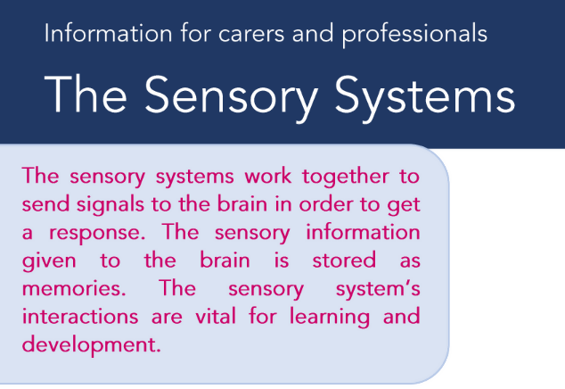 The Ultimate Sensory Systems Guide: Handbook for Parents & Professionalsals