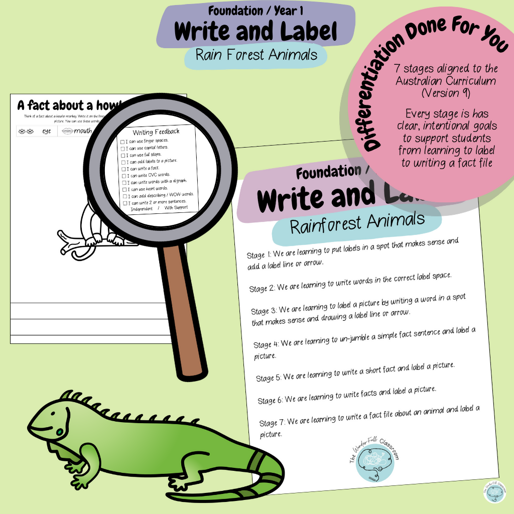 Foundation & Year 1 V9 Differentiated Information Writing - Rainforest Animals