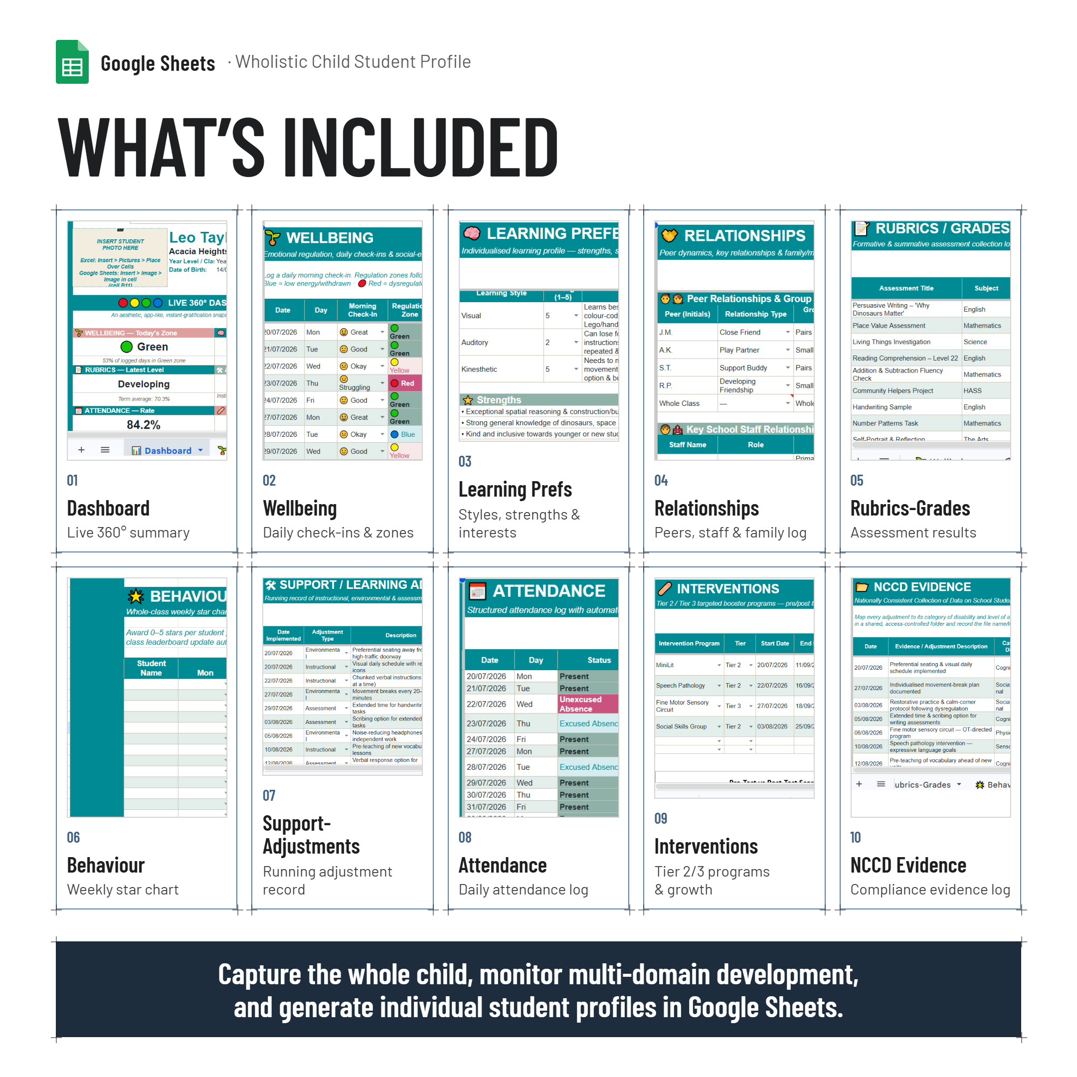 Wholistic Child Student Profile Tracker & Summary Dashboard|NCCD| PLP evidence|Google Sheets