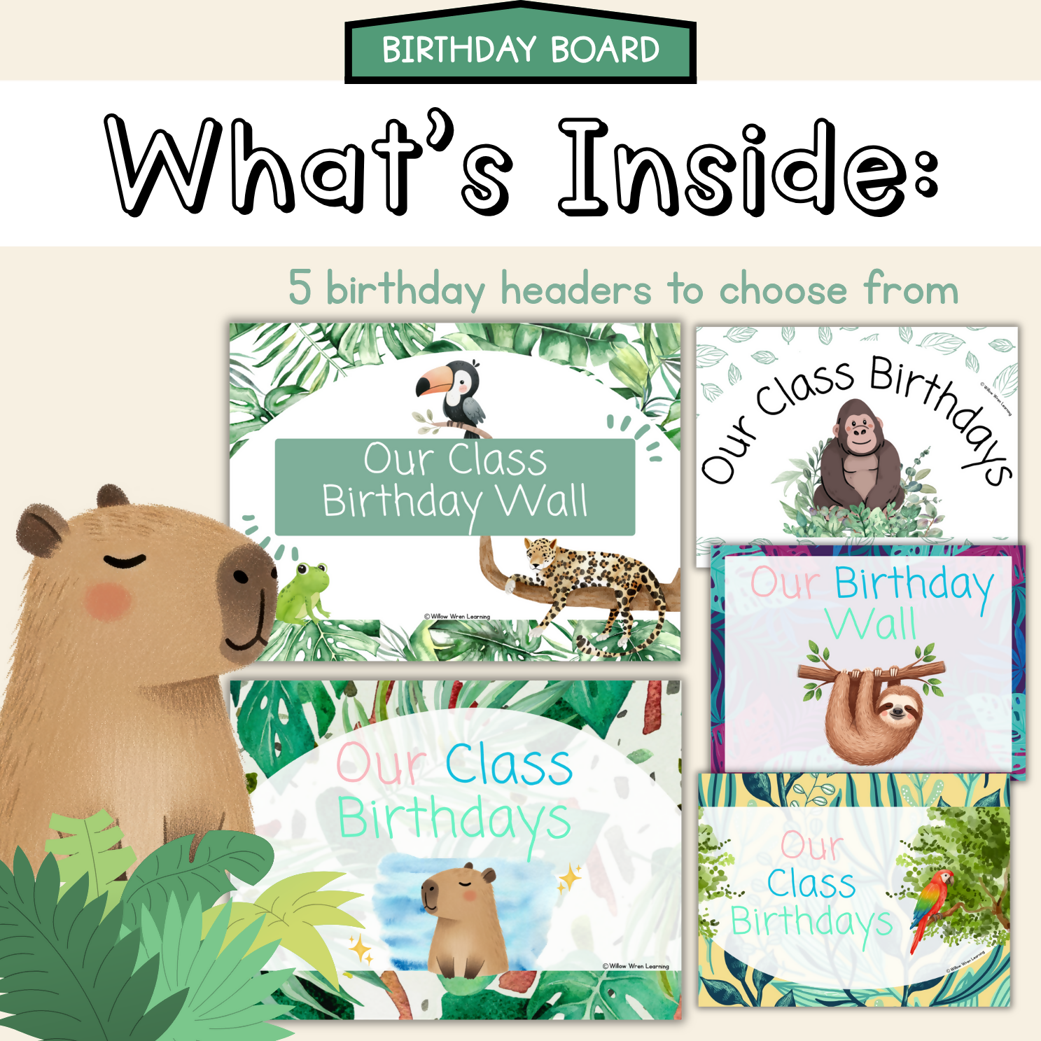 Rainforest Hideaway Back to School Bundle I Tropical Pack Decor
