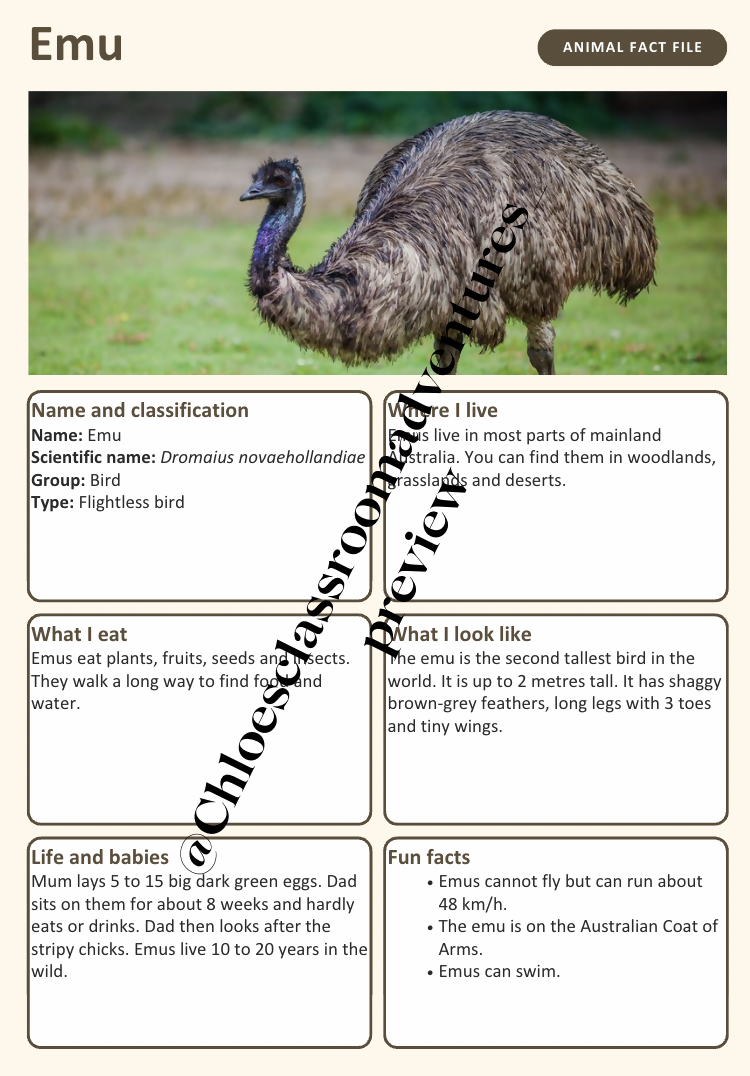 Australian Animal Fact Files | 20 Native Australian Animals | Year 1–2 | Editable | Printable
