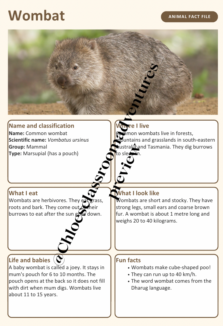 Australian Animal Fact Files | 20 Native Australian Animals | Year 1–2 | Editable | Printable
