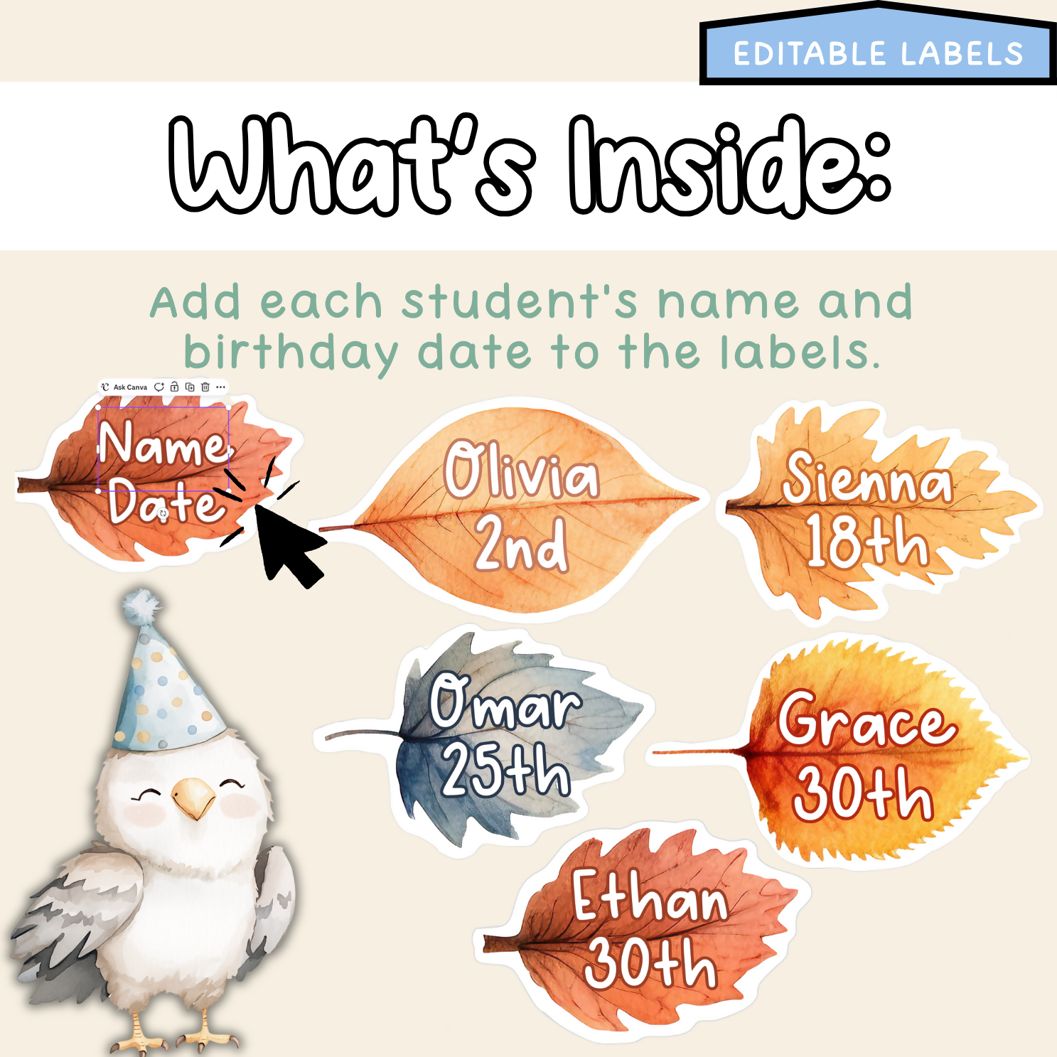 Forest Friends Birthday Board | Editable Birthday Pack Decor Woodlands