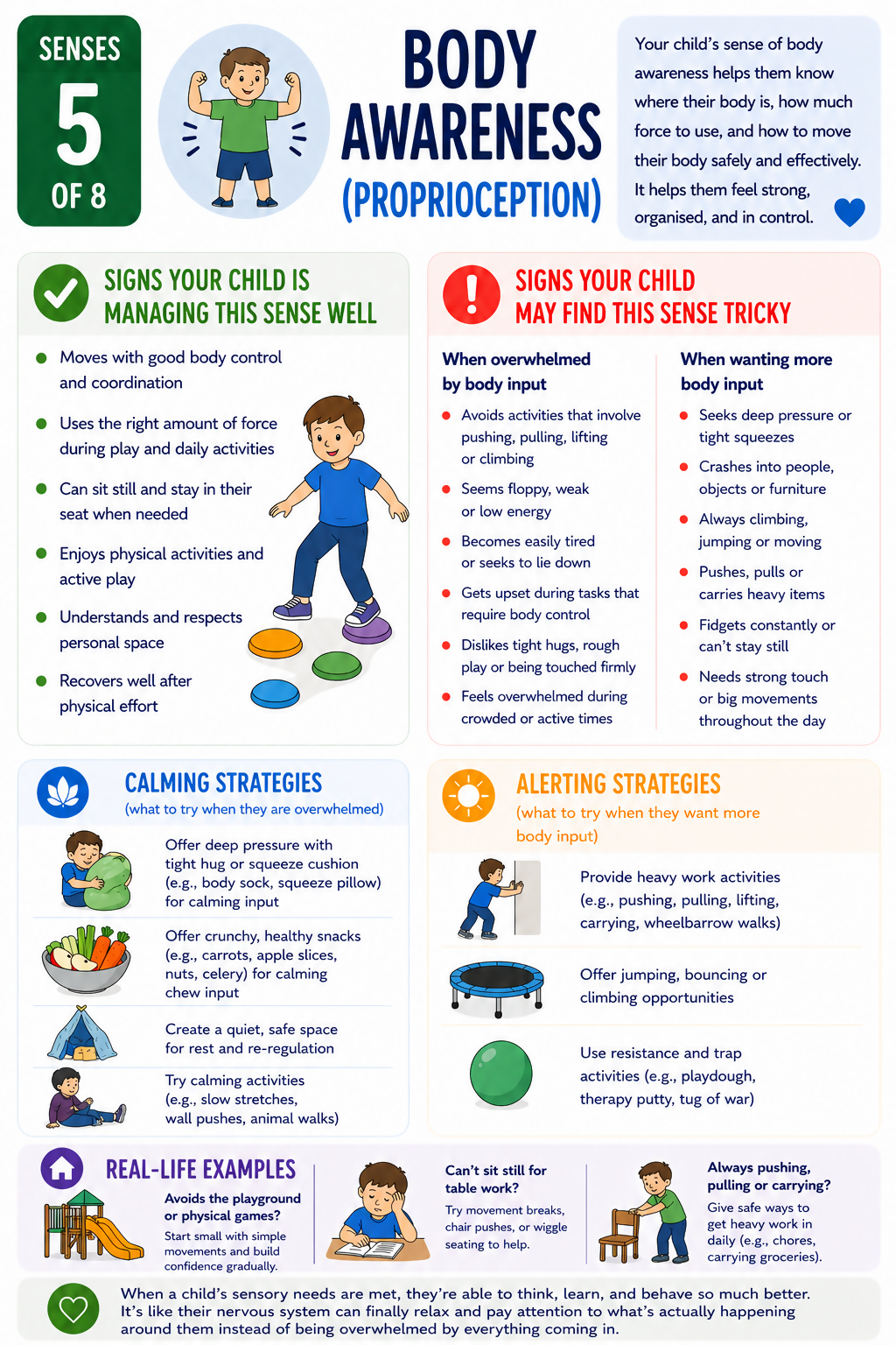 OT Designed Bundle-Sensory Regulation-Interoception, Proprioception, Vestibular etc