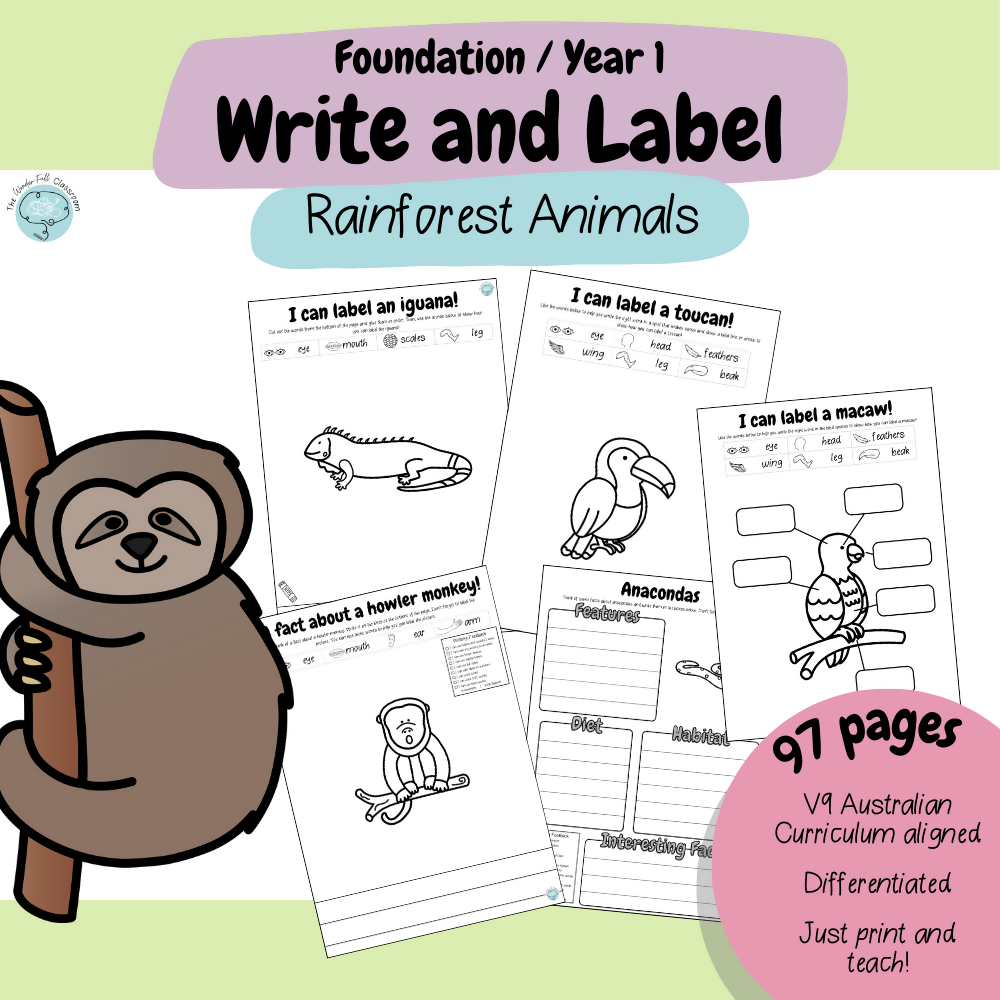 Foundation & Year 1 V9 Differentiated Information Writing - Rainforest Animals