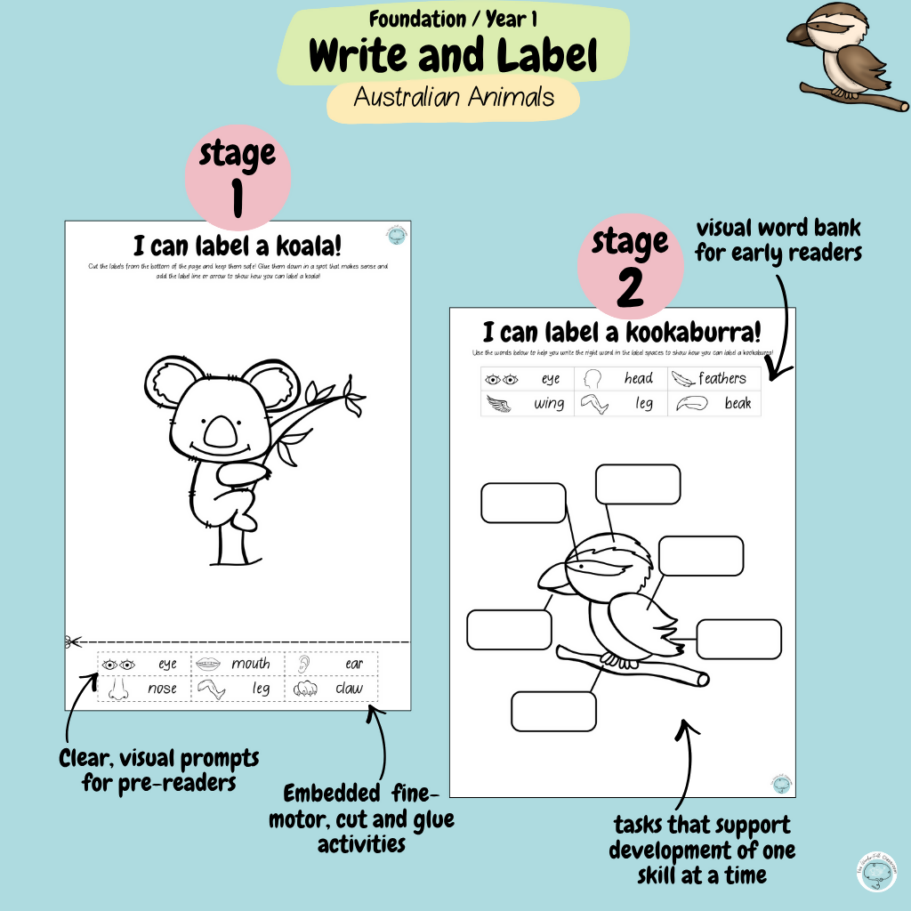 Foundation & Year 1 V9 Differentiated Information Writing - Australian Animals