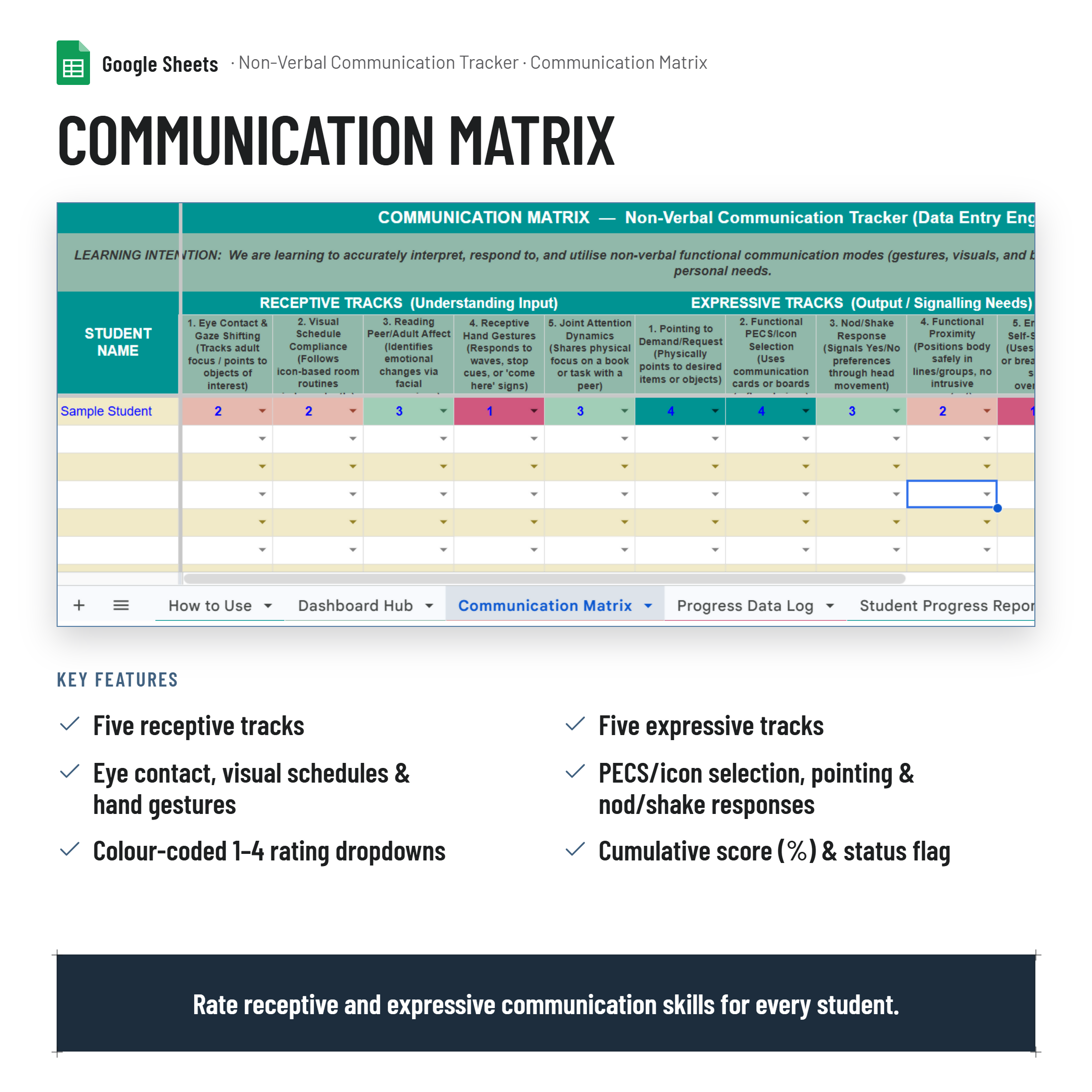 Non Verbal Student Communication Tracker| PLP & NCCD Evidence| Google Sheets