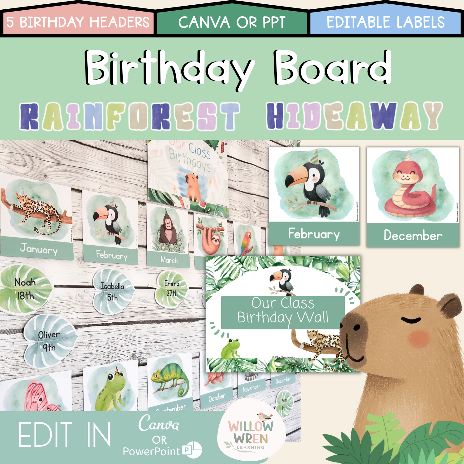 Rainforest Hideaway Meet the Teacher | Editable Back to School Classroom Decor