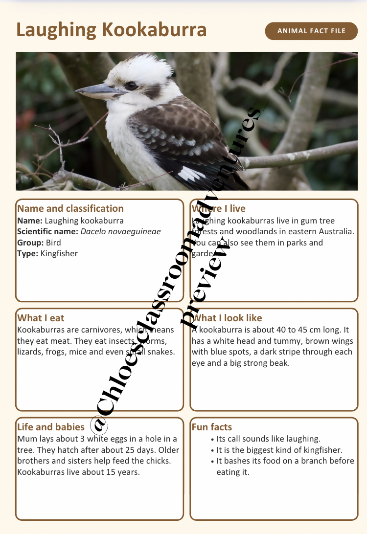 Australian Animal Fact Files | 20 Native Australian Animals | Year 1–2 | Editable | Printable