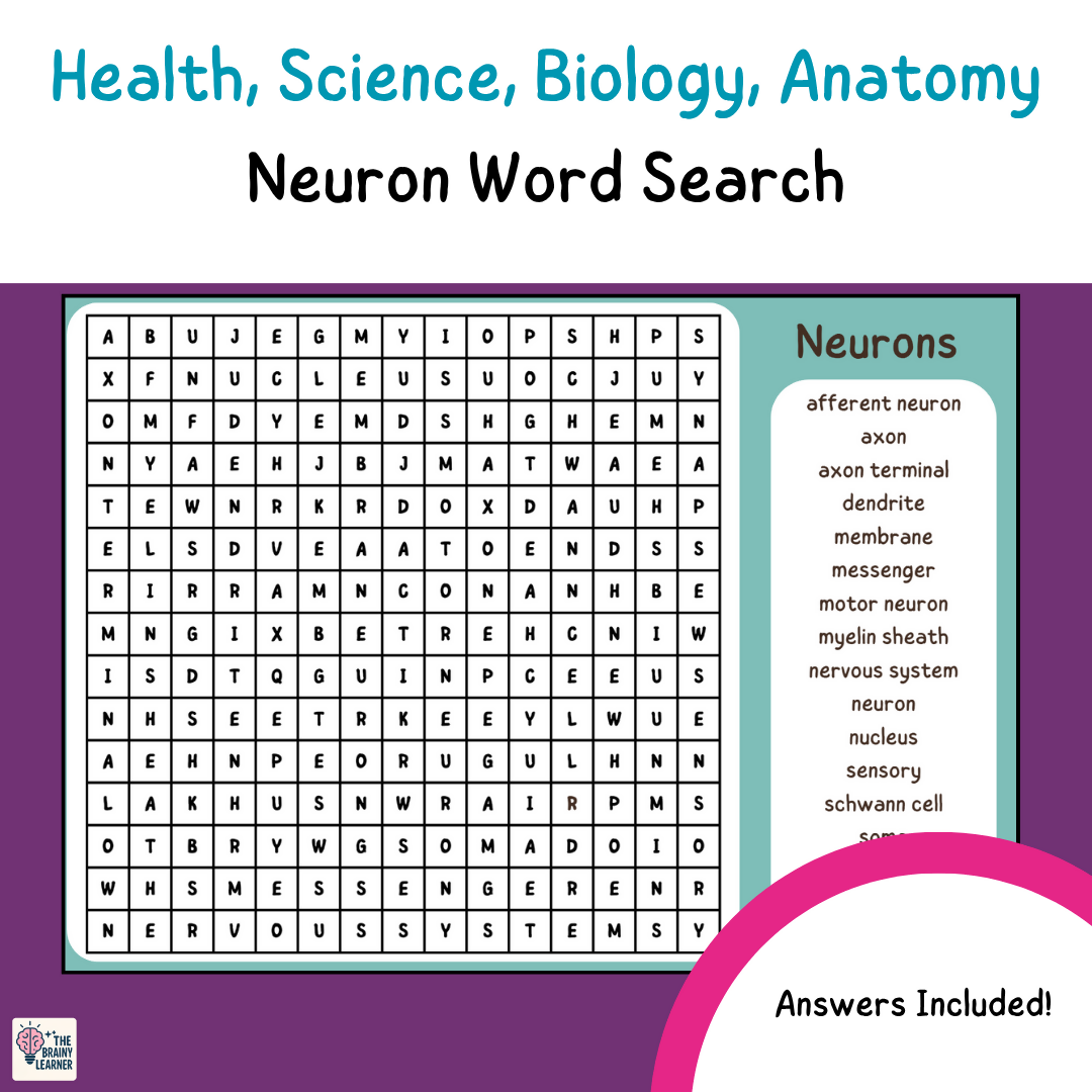 Neuron Anatomy Wordsearch