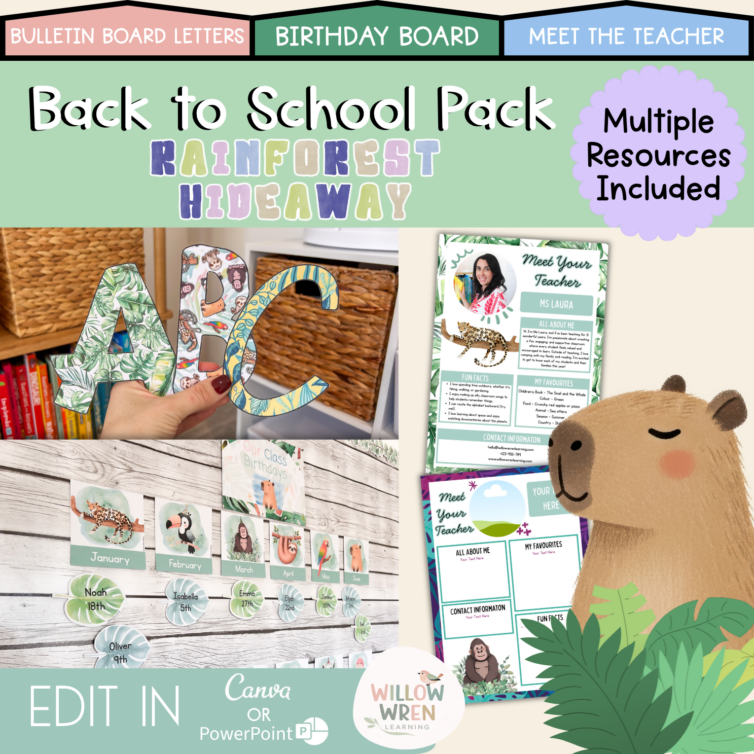 Rainforest Hideaway Back to School Bundle I Tropical Pack Decor