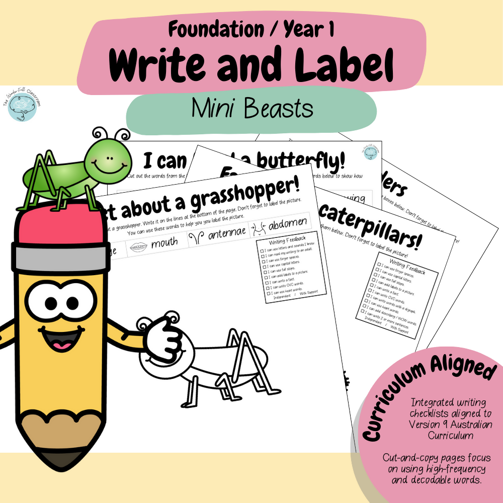 Foundation & Year 1 V9 - Differentiated Information Writing - Mini Beasts